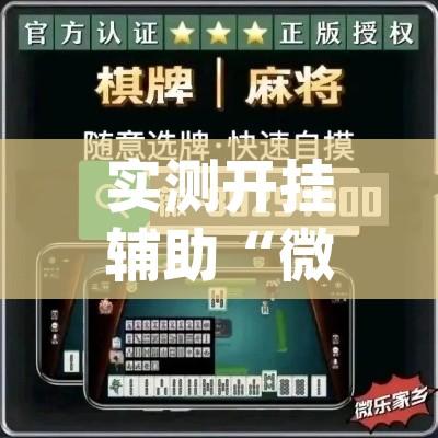 实测开挂辅助“微乐跑得快好友房怎么拿好牌	”(透视挂)辅助透视教程