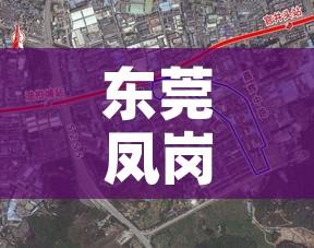 东莞凤岗疫情最新消息（东莞凤岗疫情最新情况）
