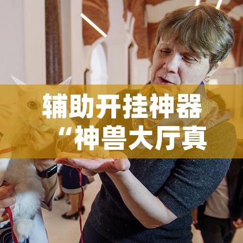 辅助开挂神器“神兽大厅真的确实有挂吗	”(透视挂)辅助透视教程