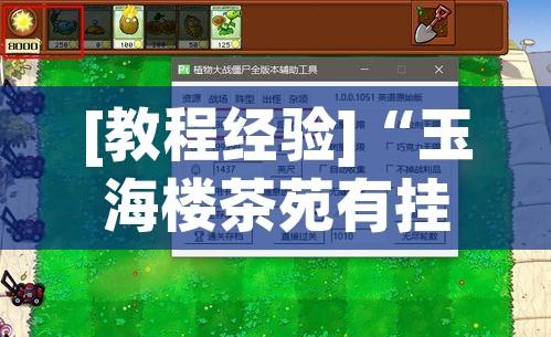[教程经验]“玉海楼茶苑有挂吗怎么拿好牌(辅助神器)开挂详细教程