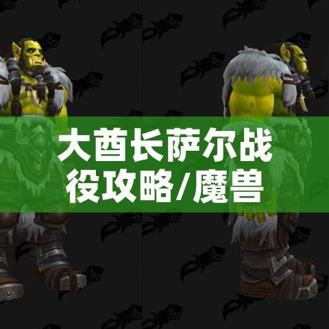 大酋长萨尔战役攻略/魔兽战役大酋长萨尔合成装备