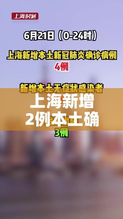 上海新增2例本土确诊病例:上海新增2例本土新冠肺炎确诊病例 上海新增2例本土确诊病例:上海新增2例本土新冠肺炎确诊病例