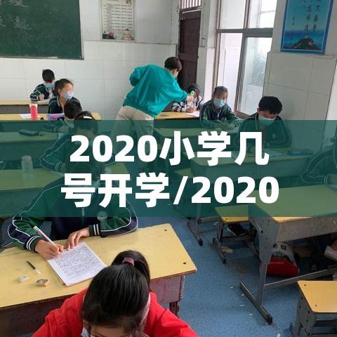 2020小学几号开学/20201年小学什么时候开学