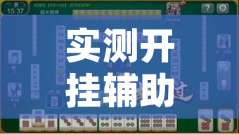 实测开挂辅助“皮皮云南麻将怎么开挂(辅助神器)开挂详细教程 实测开挂辅助“皮皮云南麻将怎么开挂(辅助神器)开挂详细教程