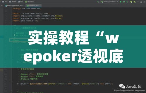实操教程“wepoker透视底牌软件!辅助神器插件下载