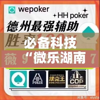 必备科技“微乐湖南麻将怎么开挂”透视开挂辅助教程