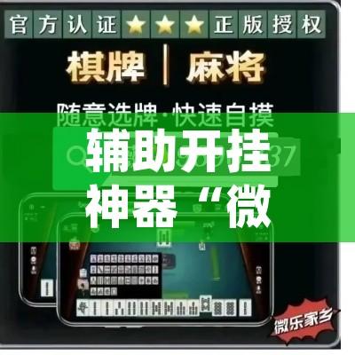 辅助开挂神器“微乐江苏麻将开挂教程”(透视挂)辅助透视教程